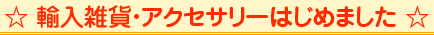 AG݁EANZT[͂߂܂